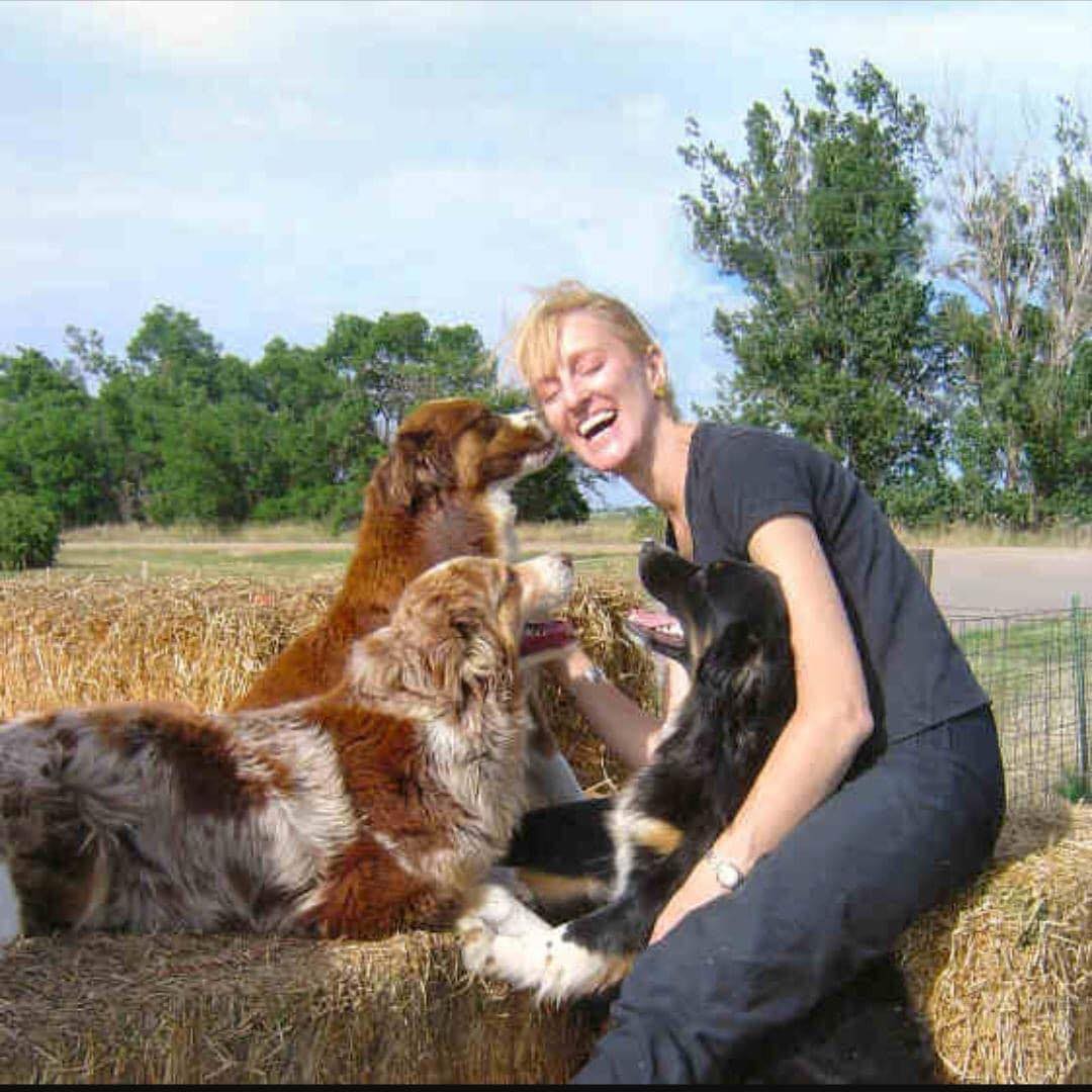 Carol Ann Hartenagle having a laugh with three Australian Shepherds